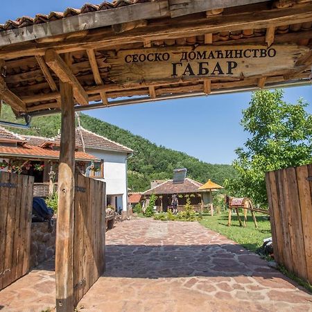 Seosko Domacinstvo „Gabar” Villa Custica Bagian luar foto