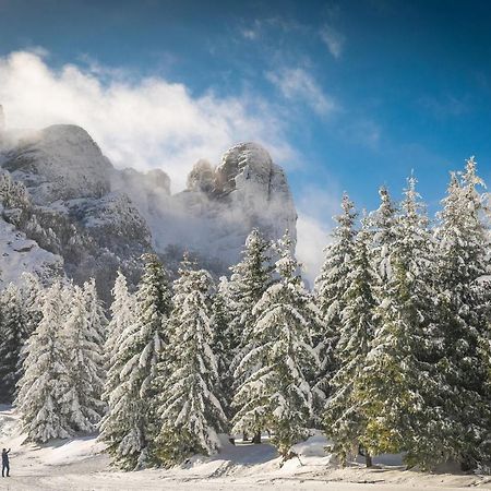 Seosko Domacinstvo „Gabar” Villa Custica Bagian luar foto