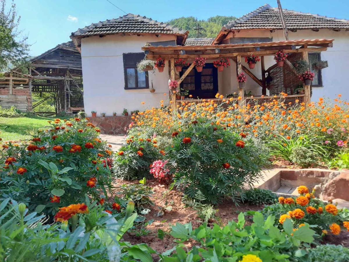 Seosko Domacinstvo „Gabar” Villa Custica Bagian luar foto