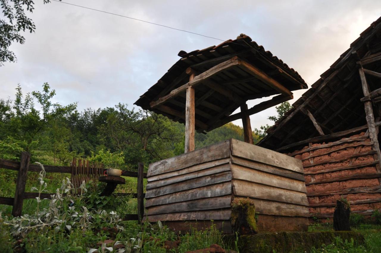 Seosko Domacinstvo „Gabar” Villa Custica Bagian luar foto