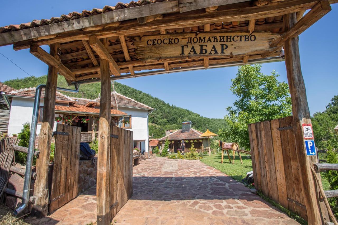 Seosko Domacinstvo „Gabar” Villa Custica Bagian luar foto