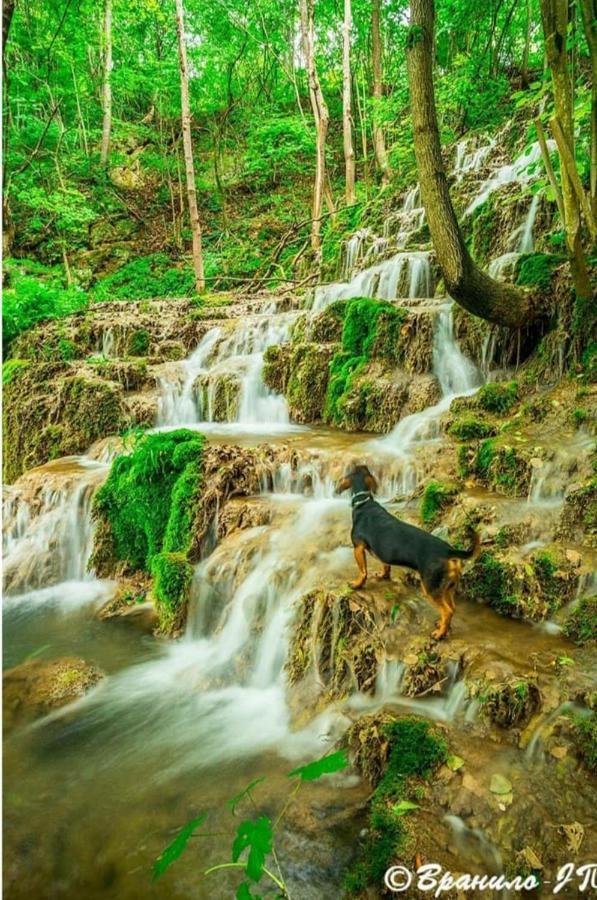 Seosko Domacinstvo „Gabar” Villa Custica Bagian luar foto