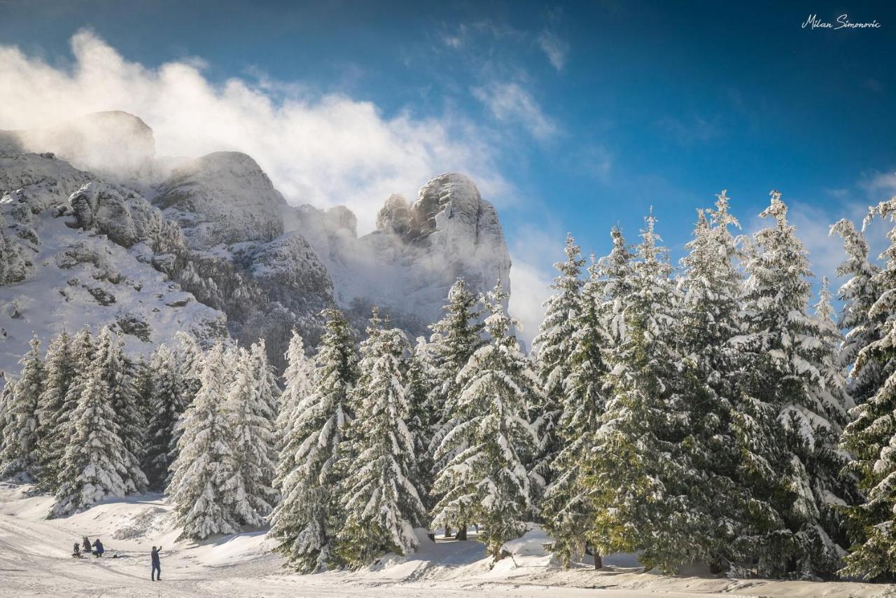 Seosko Domacinstvo „Gabar” Villa Custica Bagian luar foto
